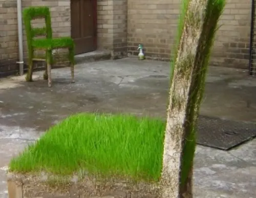 L'eco-design colpisce ancora con Green Art: l'erba che cresce sui mobili