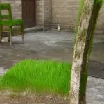 L'eco-design colpisce ancora con Green Art: l'erba che cresce sui mobili