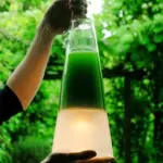 Latro Lamp: eco-lampada luminosissima e vivente