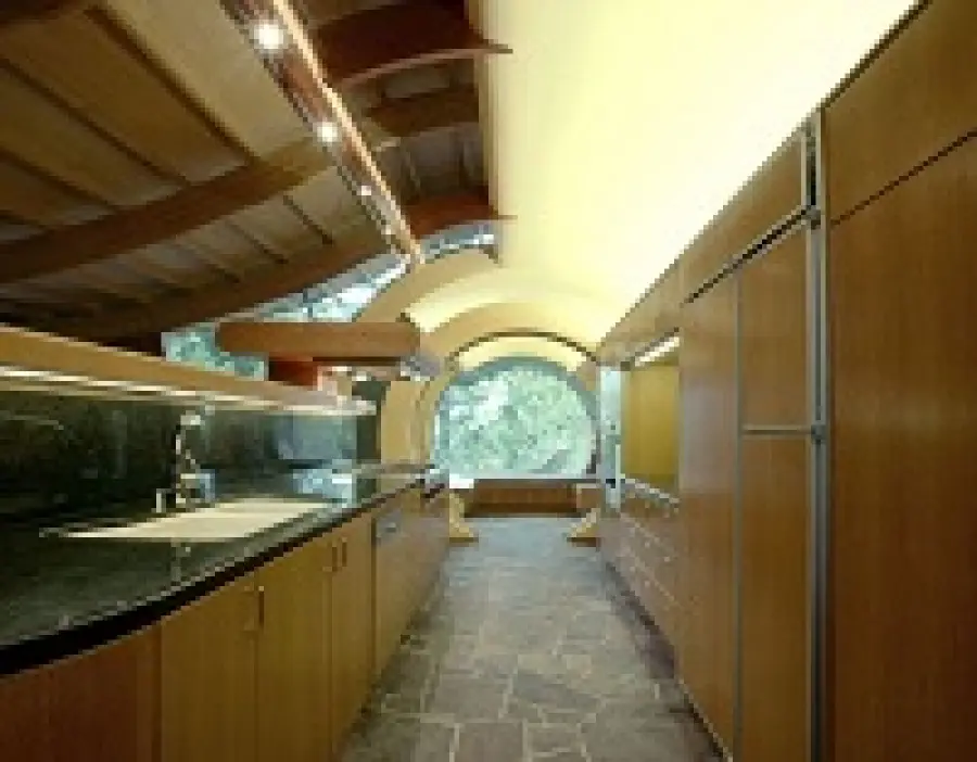 Wilkinson Residence: la casa sull’albero musicale