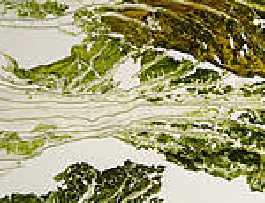Decorazioni commestibili e contenitori eco