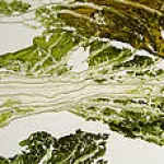 Decorazioni commestibili e contenitori eco