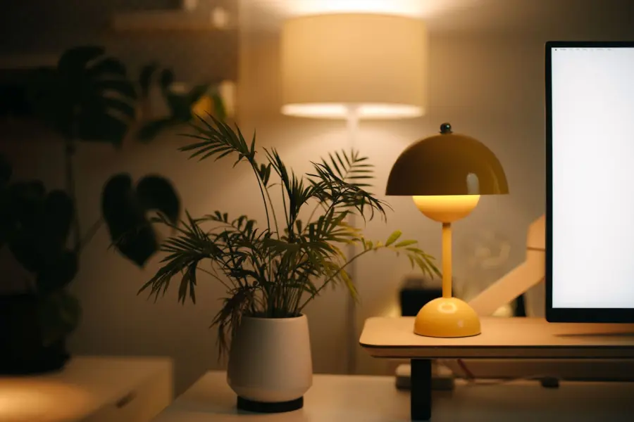 Luce e Gas: strategie per risparmiare senza rinunciare al comfort